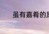 虽有嘉肴的原文及翻译是什么