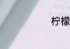 柠檬水怎么做
