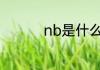nb是什么意思网络用语