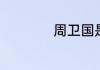 周卫国是什么电视剧
