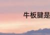牛板腱是牛的什么部位
