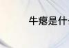 牛瘪是什么牛的什么部位