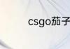 csgo茄子发电报是什么梗
