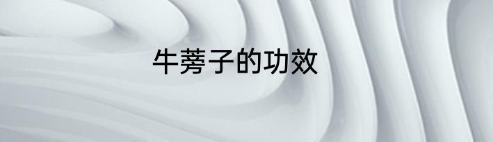 牛蒡子的功效
