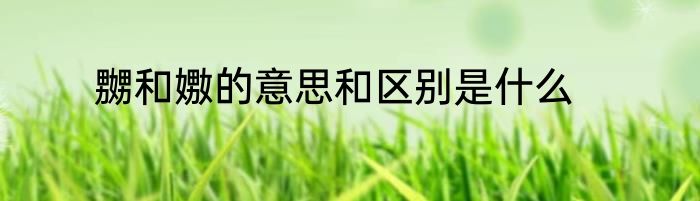 嬲和嫐的意思和区别是什么