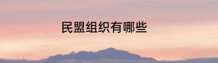 民盟组织有哪些