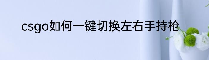csgo如何一键切换左右手持枪