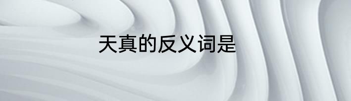 天真的反义词是