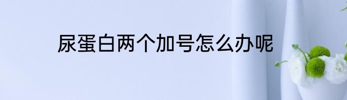 尿蛋白两个加号怎么办呢