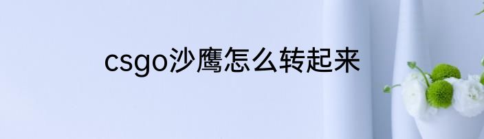 csgo沙鹰怎么转起来