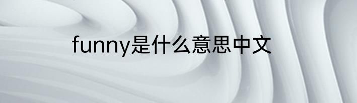funny是什么意思中文
