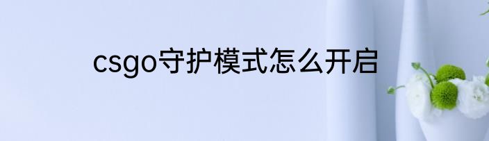 csgo守护模式怎么开启