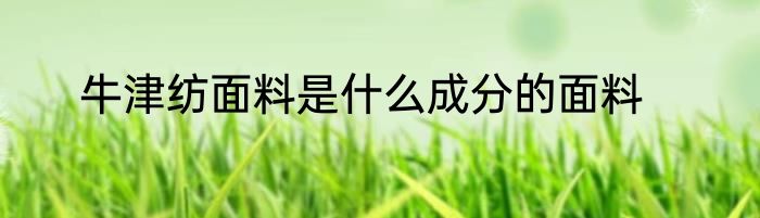 牛津纺面料是什么成分的面料