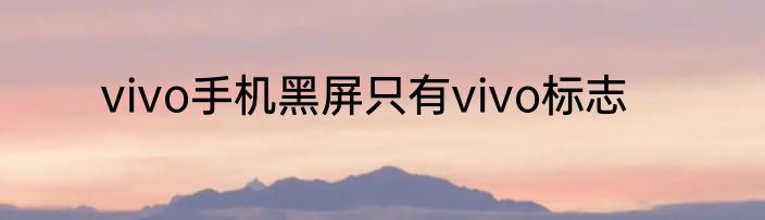 vivo手机黑屏只有vivo标志