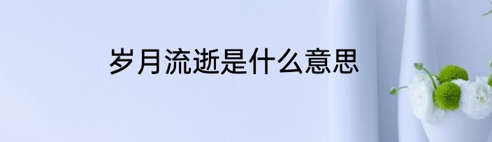 岁月流逝是什么意思