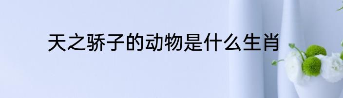 天之骄子的动物是什么生肖
