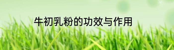 牛初乳粉的功效与作用