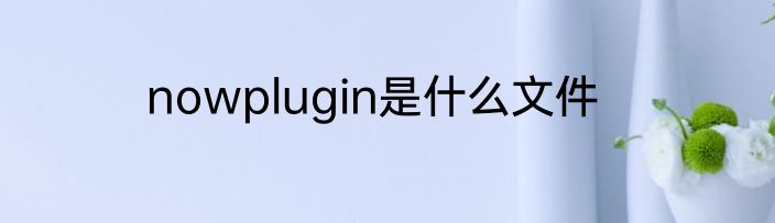 nowplugin是什么文件