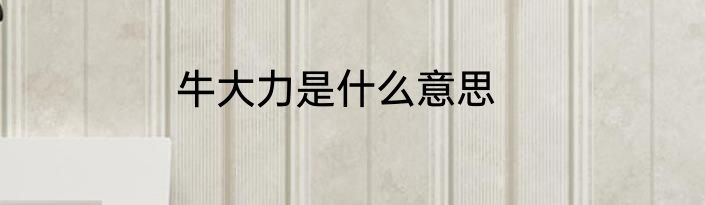 牛大力是什么意思