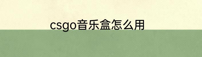 csgo音乐盒怎么用