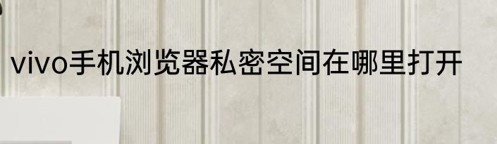 vivo手机浏览器私密空间在哪里打开