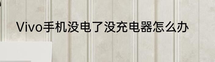 Vivo手机没电了没充电器怎么办