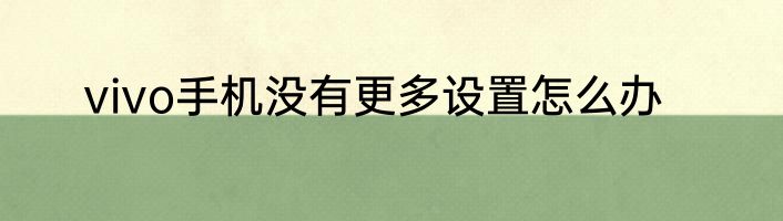 vivo手机没有更多设置怎么办