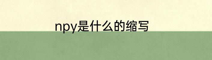 npy是什么的缩写