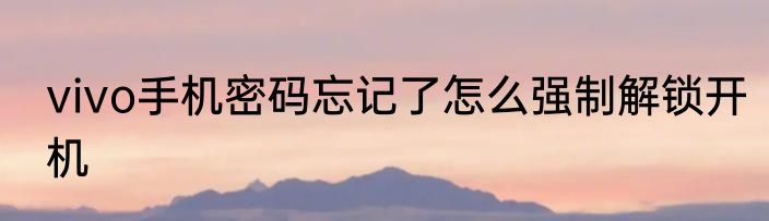 vivo手机密码忘记了怎么强制解锁开机