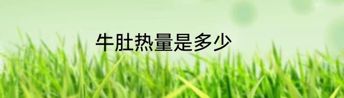 牛肚热量是多少