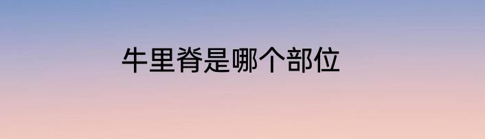 牛里脊是哪个部位