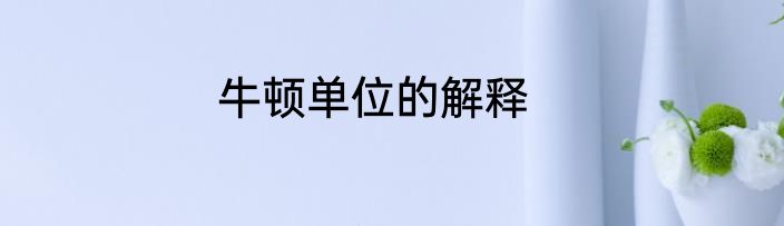 牛顿单位的解释