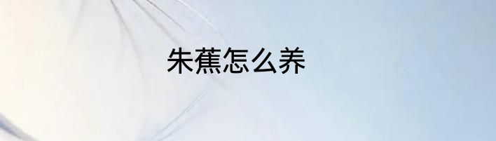 朱蕉怎么养
