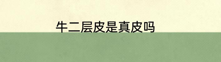 牛二层皮是真皮吗