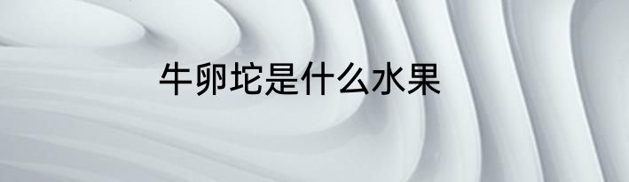 牛卵坨是什么水果