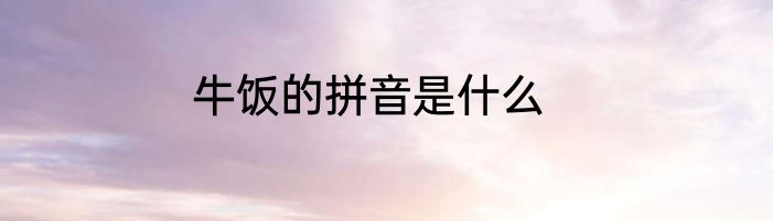 牛饭的拼音是什么