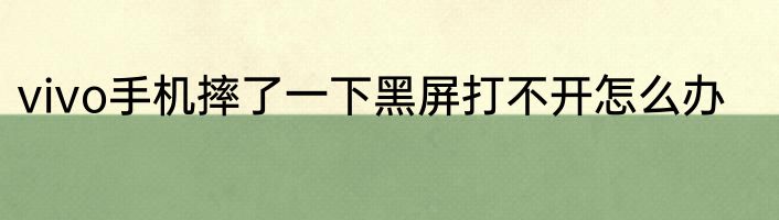 vivo手机摔了一下黑屏打不开怎么办
