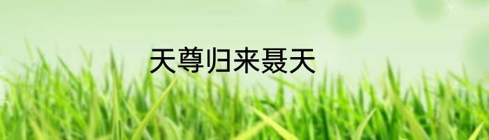 天尊归来聂天
