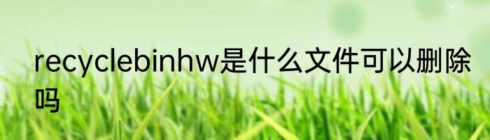 recyclebinhw是什么文件可以删除吗