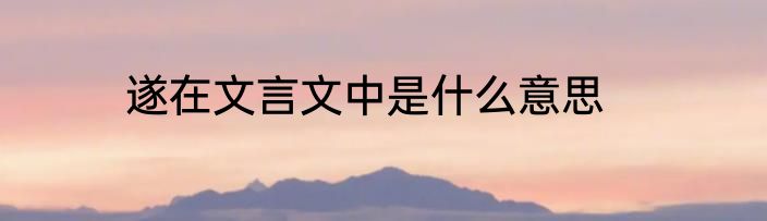 遂在文言文中是什么意思