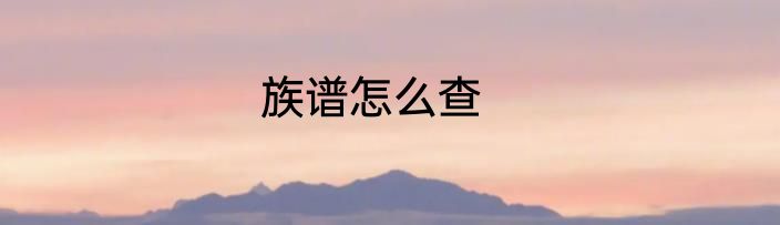 族谱怎么查
