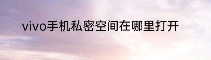 vivo手机私密空间在哪里打开