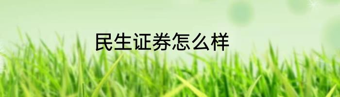 民生证券怎么样