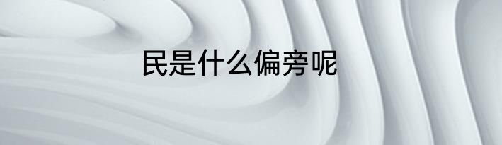 民是什么偏旁呢