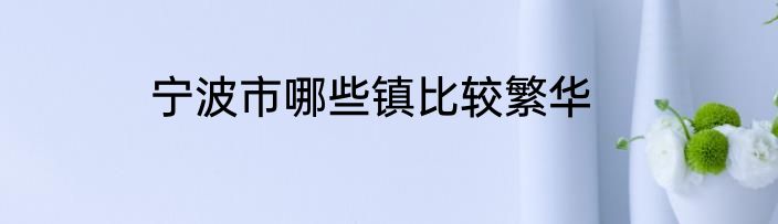 宁波市哪些镇比较繁华