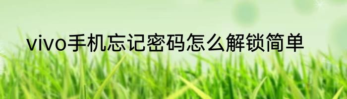 vivo手机忘记密码怎么解锁简单