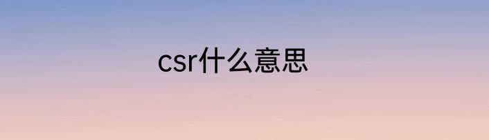 csr什么意思