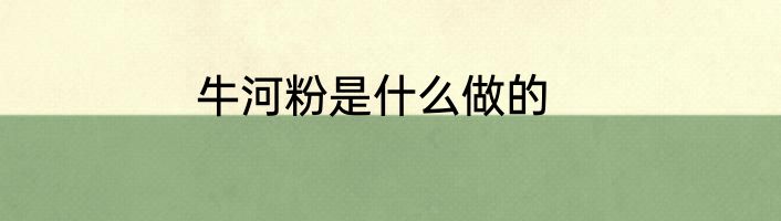 牛河粉是什么做的