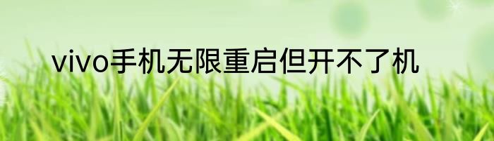 vivo手机无限重启但开不了机