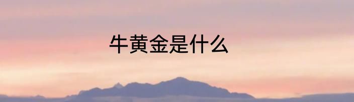 牛黄金是什么